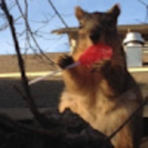 Meet your Posher, Karen